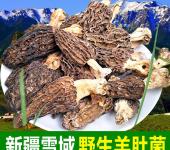 內江蔬菜種植產業與食用菌菌種進出口市場的并行發展